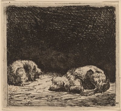 Hund och katt av Karel Dujardin