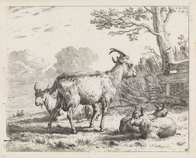 Fyra getter av Karel Dujardin