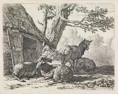 Fyra får av Karel Dujardin