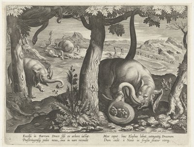 Olifant mötte slang i strid Jachttaferelen (serietitel) Jakten på vilt, fågel och fisk i Bestiary (serietitel) av Karel van Mallery (attributed to)