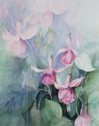Fuschia, rosa kusk av Karen Armitage