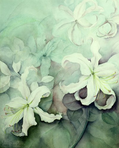 Liljor, vit Auratum av Karen Armitage