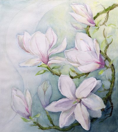 Magnolior (wc) av Karen Armitage