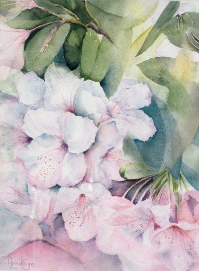 Morgonmagi av Karen Armitage