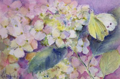 Blek molnig gul fjäril, Colias Hyale på hortensia av Karen Armitage