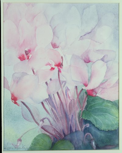 Rosa Cyclamen, Victoria av Karen Armitage