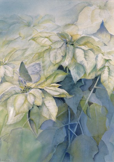 Vit julstjärna (vertikal) av Karen Armitage