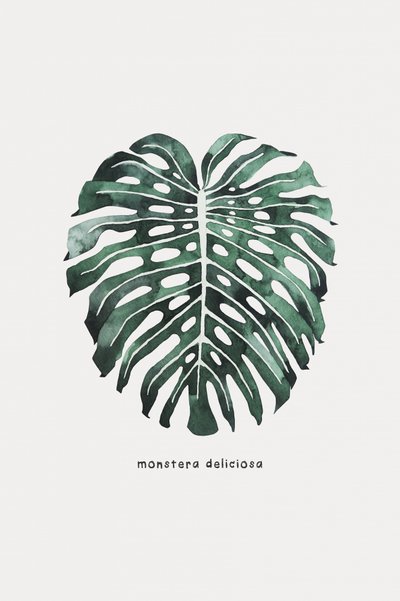 Akvarell av ett Monstera-blad av Karen Menzenbach