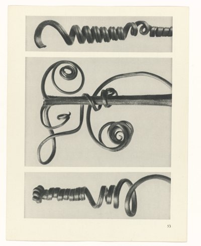 planera studien Archetypes of Art (serietitel) av Karl Blossfeldt