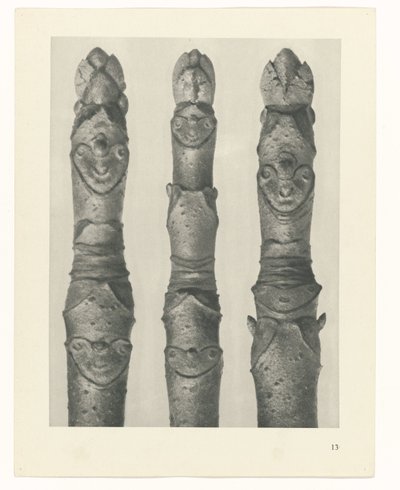 planera studien Archetypes of Art (serietitel) av Karl Blossfeldt