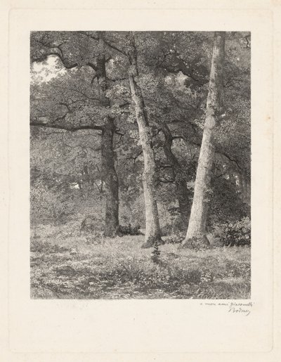 En skogsröjning av Karl Bodmer