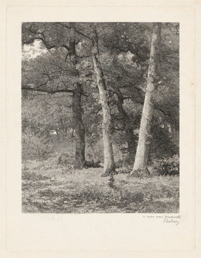 En glänta i skogen av Karl Bodmer