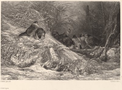 Skydd från frosten av Karl Bodmer