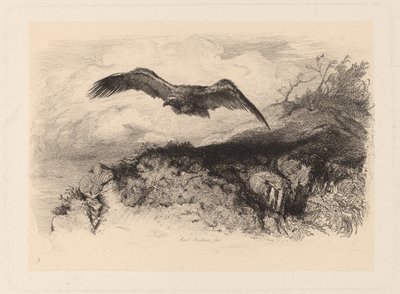 flygande örn av Karl Bodmer