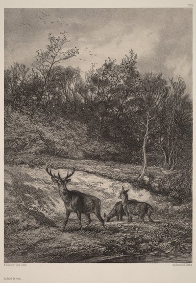 Vid vattnet av Karl Bodmer