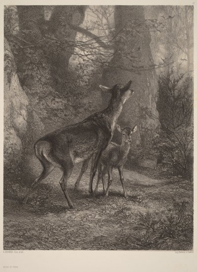 Hind och kalv av Karl Bodmer
