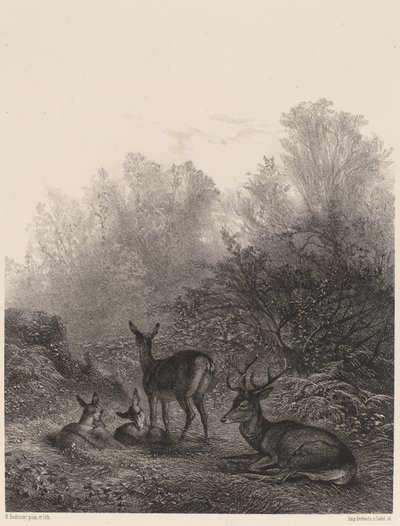 Hinder i vila. av Karl Bodmer