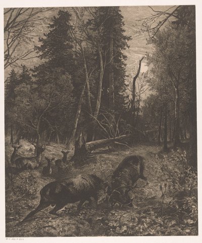 Skogsplats med två kämpande rådjur av Karl Bodmer