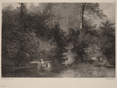 Ankor av Karl Bodmer