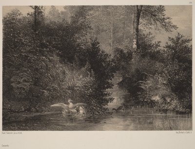 Änder av Karl Bodmer