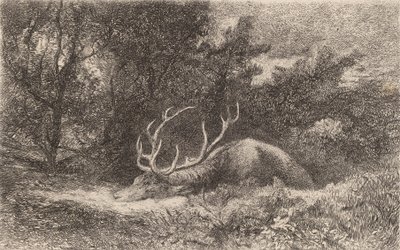 Rådjur a la Reposee. av Karl Bodmer