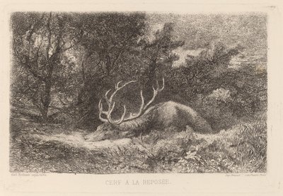 Rådjur a la Reposee av Karl Bodmer