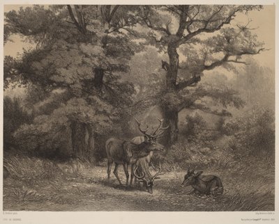 Betande hjortar av Karl Bodmer