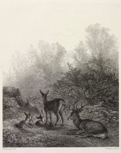 Rådjur i vila av Karl Bodmer