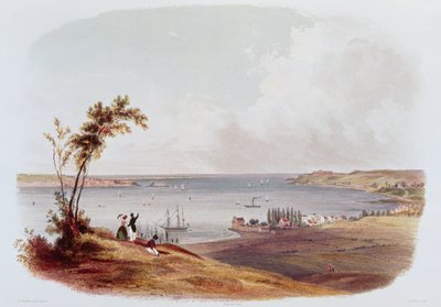 Entré till Bay of New York, Staten Island, graverad av Salathe (färg litho) av Karl Bodmer