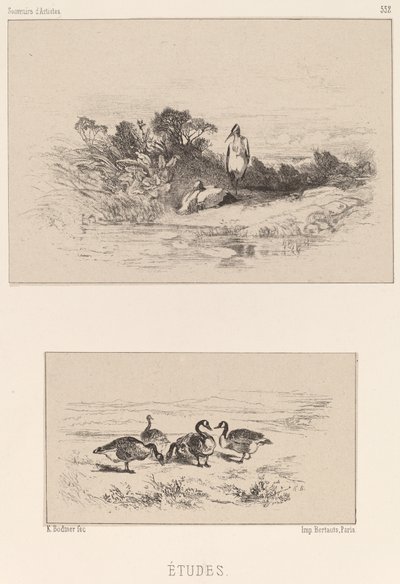 Studier av Karl Bodmer