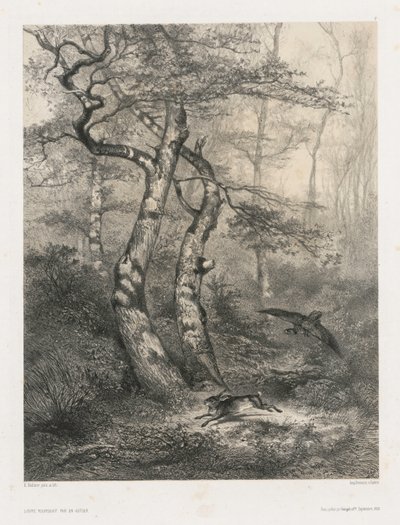 Hare förföljd av en gåhök av Karl Bodmer