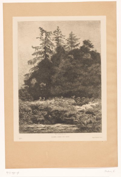 Rådjur i utkanten av en skog Daims dans un parc (titel på objekt) av Karl Bodmer