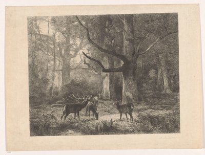 Rådjur i en skog av Karl Bodmer