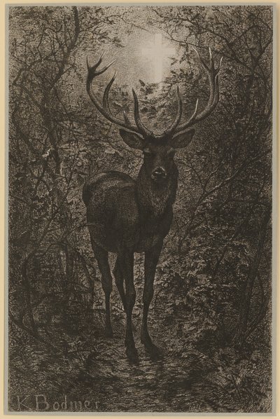 Hubertushjort av Karl Bodmer