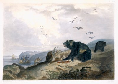 Jakt på grizzlybjörn, tavla 36 från volym 2 av "Travels in the Interior of North America", graverad av Lucas Weber, 1844 (akvatint) av Karl Bodmer