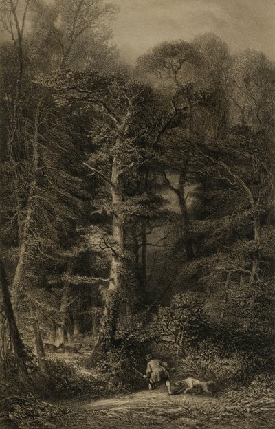 Skogens interiör av Karl Bodmer