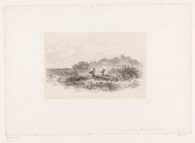 Landskap med två vitsvanshjortar Landskap med djur (serietitel) av Karl Bodmer