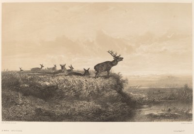 Morgonen. av Karl Bodmer
