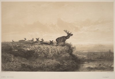 Morgonen av Karl Bodmer
