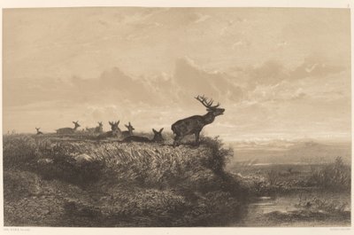 Morgonen. Rådjur och hindar. av Karl Bodmer