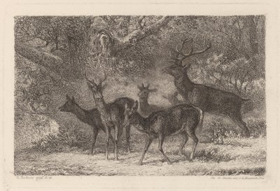 hjorden av Karl Bodmer