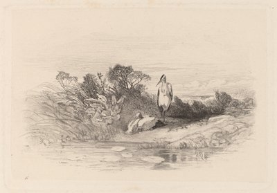 De två hägerna av Karl Bodmer
