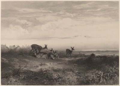 Hinderna. av Karl Bodmer