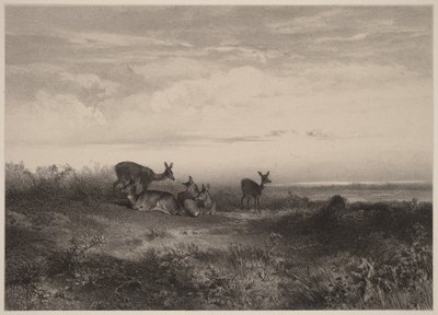 Hindarna av Karl Bodmer