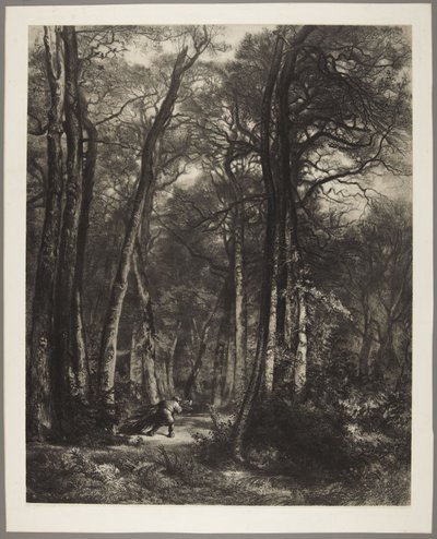 Mannen i skogen av Karl Bodmer