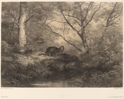 Marcassins. av Karl Bodmer