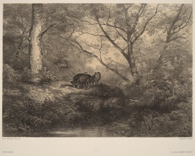 Vildsvinskultingar av Karl Bodmer