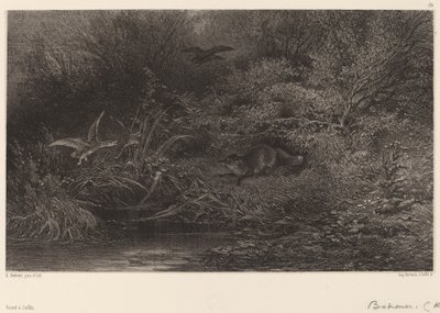Räv på jakt av Karl Bodmer