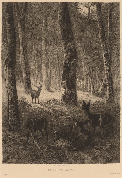 Tillbaka hem av Karl Bodmer