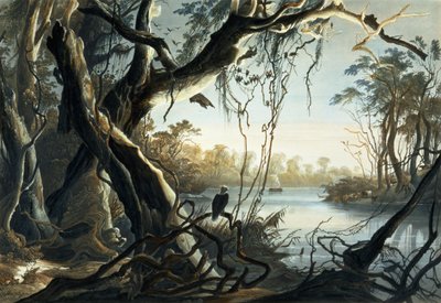 Foxflodens mynning, Indiana, tavla 5 från volym 2 av "Travels in the Interior of North America", graverad av Sigismond Himely (1801-72) 1844 (akvatint) av Karl Bodmer